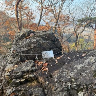 13.京路鳶山。もはや写真見て振り返ってもどんな道だったかとか全く覚えていない✌️