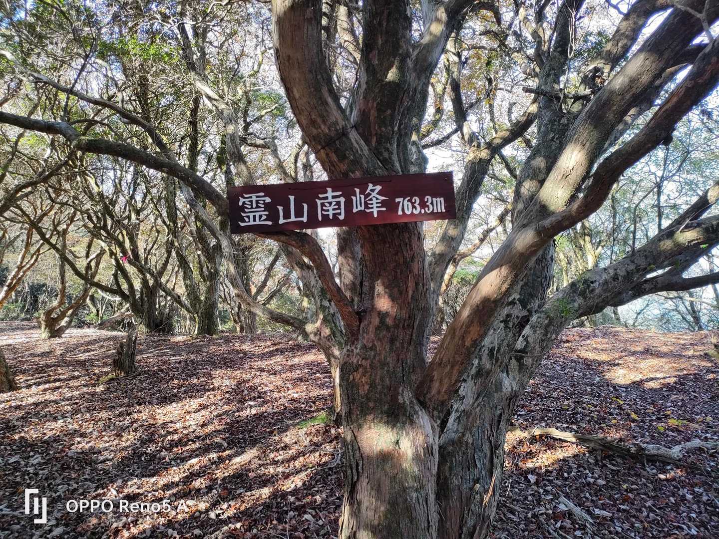 南峰も行くが展望はありません。落ち葉の道がいい感じ🍂