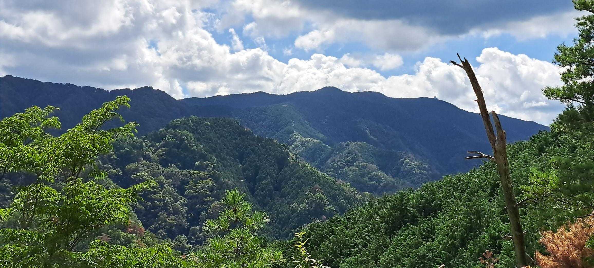 和泉山脈の緑が映える