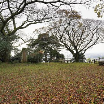 古城山 山頂広場。
山頂標は見つけられませんでしたが、左の木の下奥に三角点はありました。