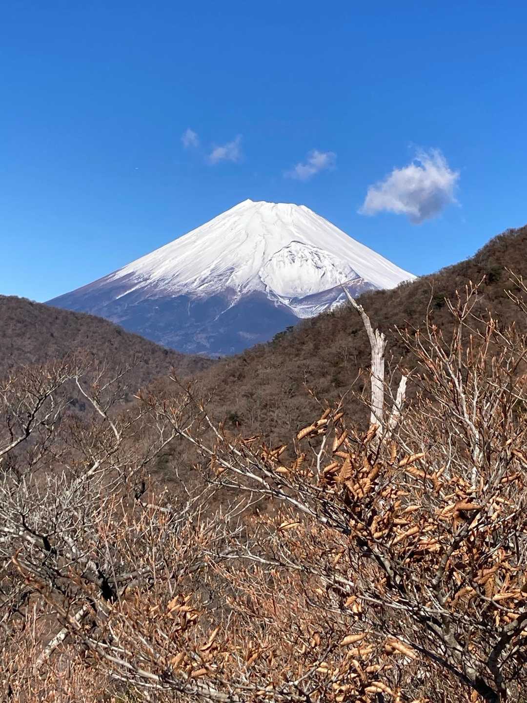 🌟雪❄️の富士山🗻🤩