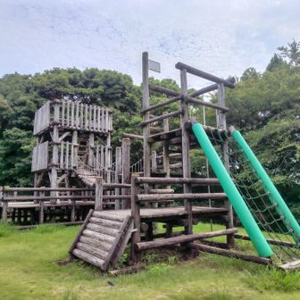 ライオン砦（真）