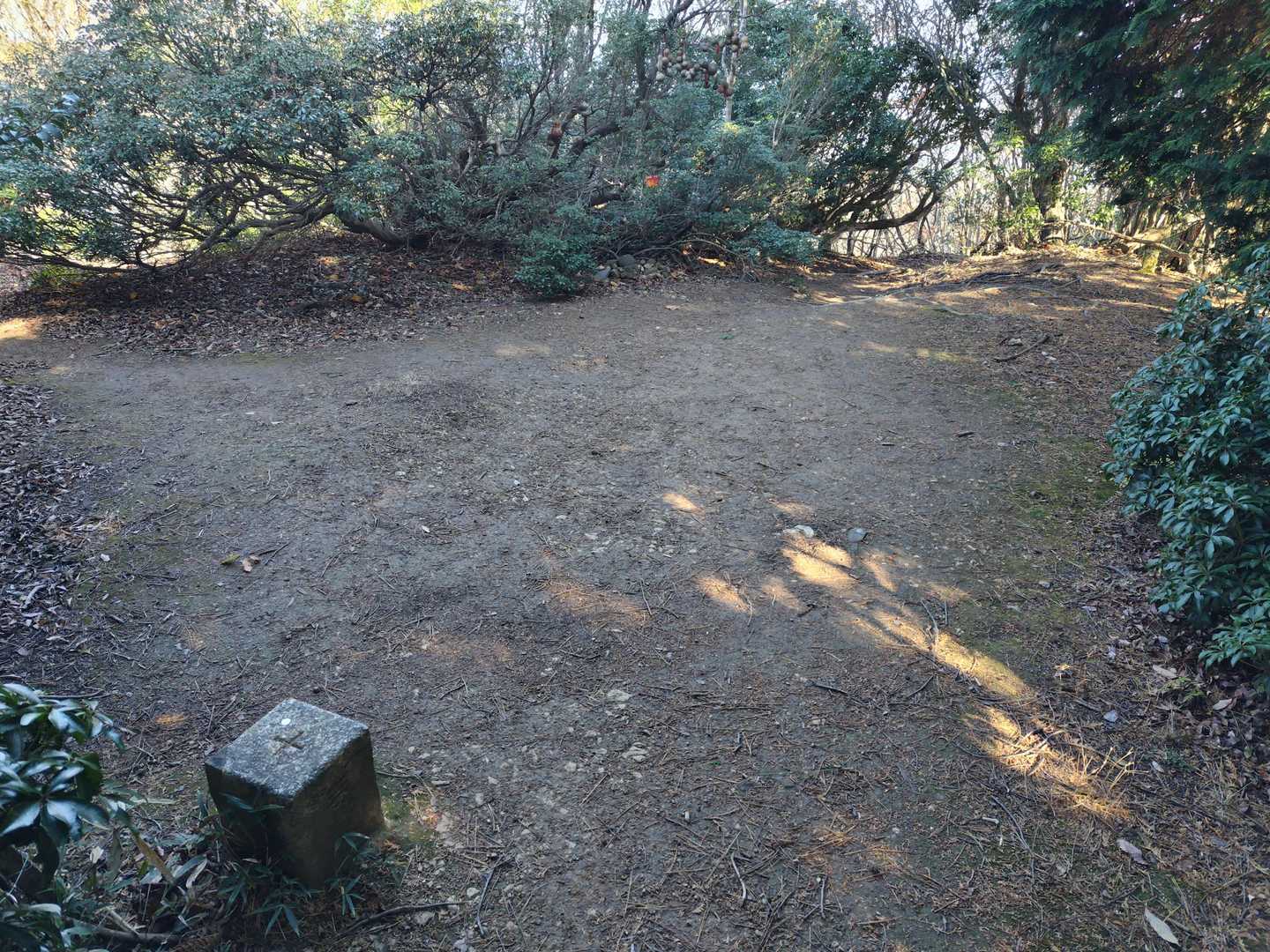 山頂全景
