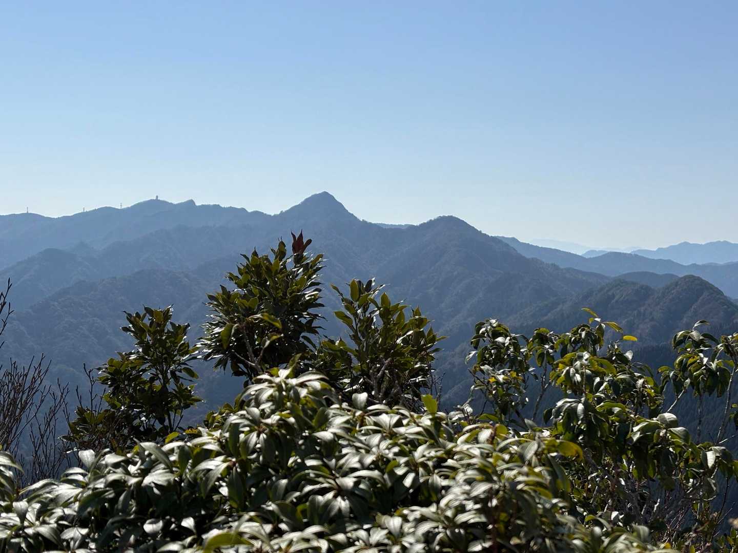 先日登った釈迦岳、御前岳など