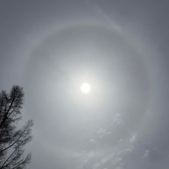 ふと見上げると✨