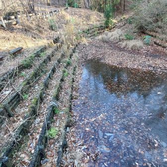 写真だと分かりづらいですが薄く氷が張ってます