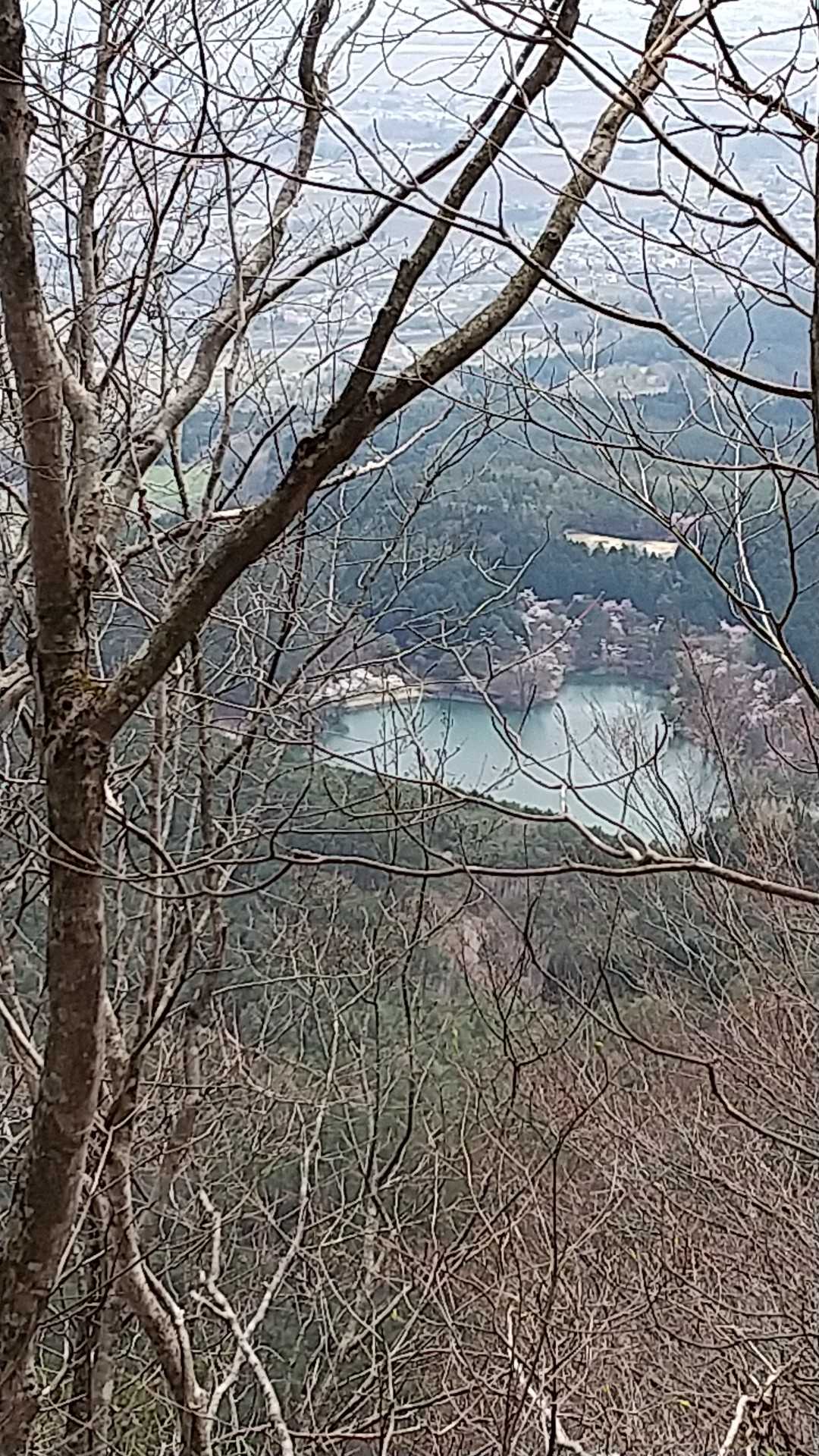 半田山 周回コースの写真
