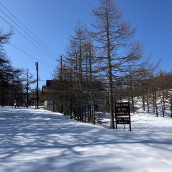 駐車場はシーズになると満車🈵
