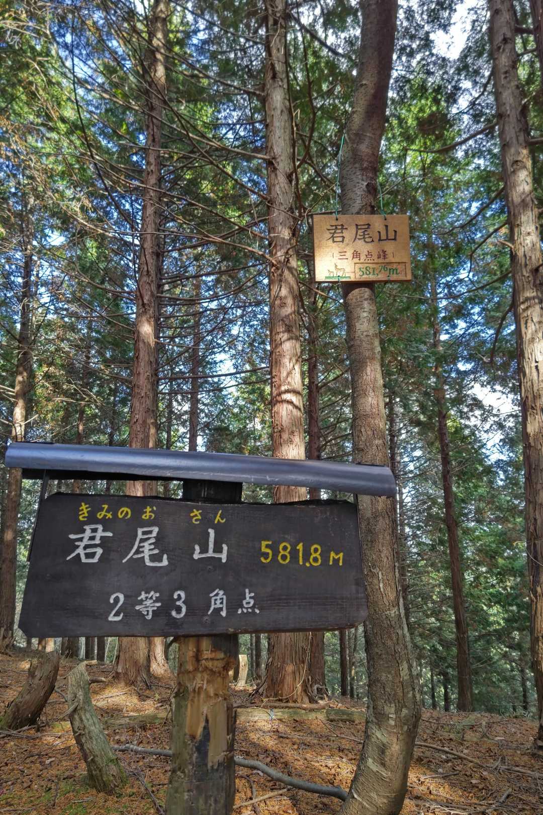 山頂標識🪧