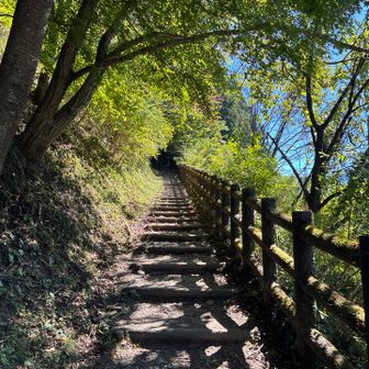 登ります