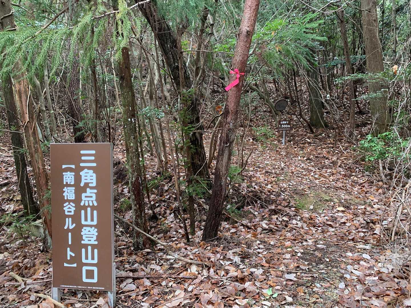 下山しました

お稲荷さん前の🅿️に繋がっています