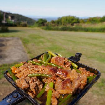 肉食いたかったのよねぇ、アルビスのニンニクの芽入り味付きビーフ