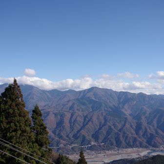 残念ながら富士山見えず。