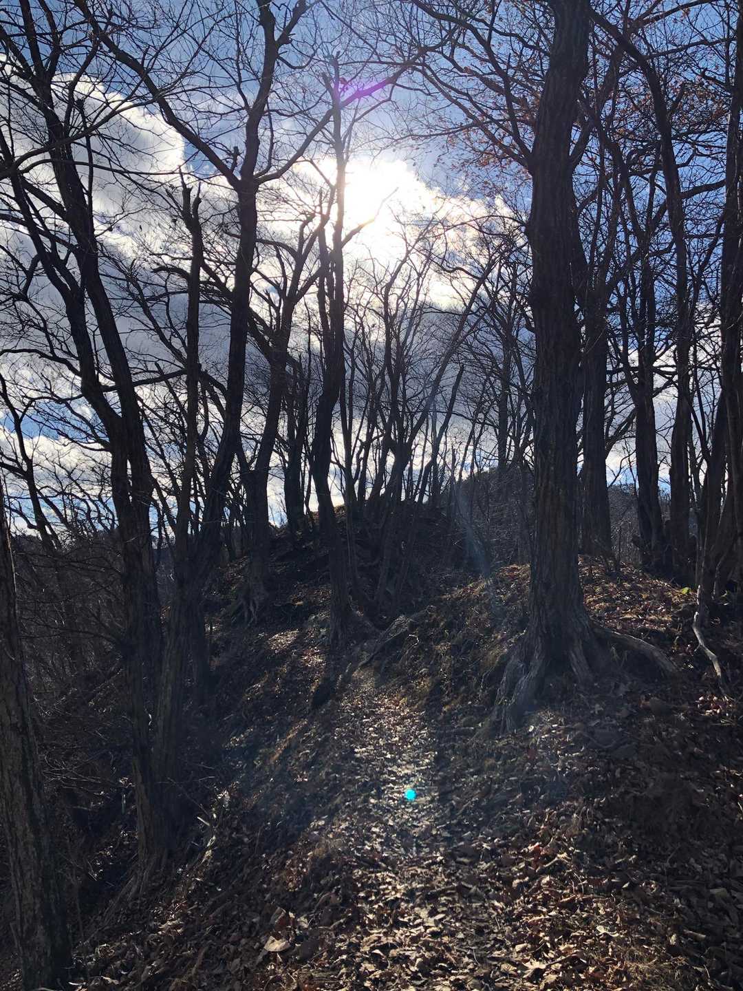 追分バス停-新中橋バス停-笹子雁ヶ腹摺山-笹子峠-矢立の杉 往復コースの写真