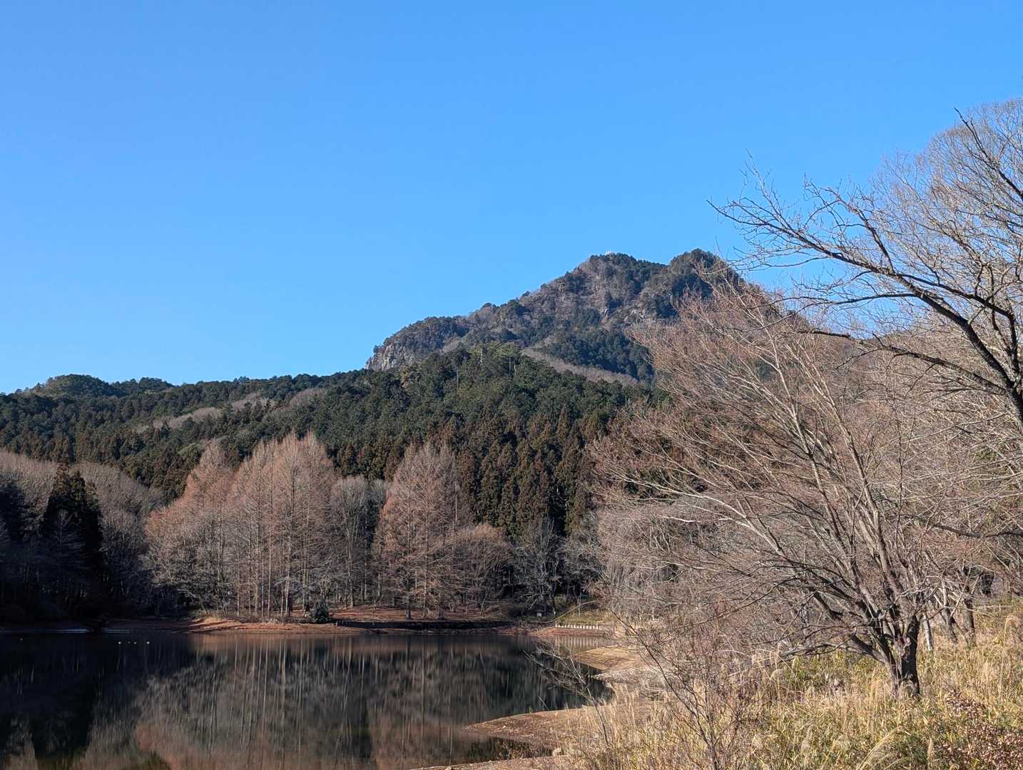 今日の古賀志山