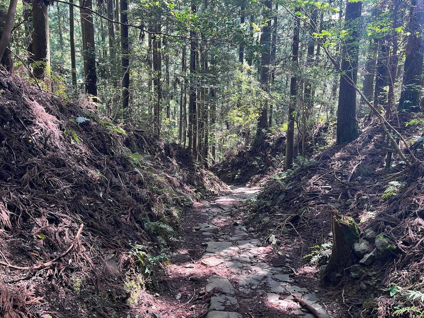 熊野古道 中辺路（滝尻王子〜近露王子）の写真