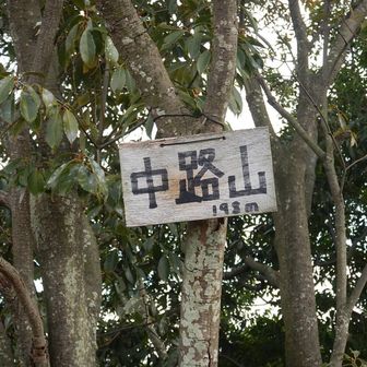 鉄塔のある中路山山頂
