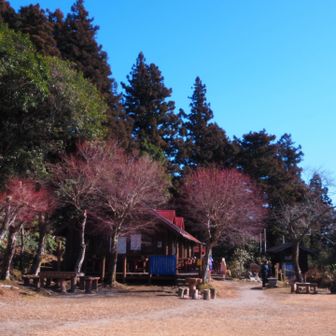 山頂と違ってキャンセンは少なめ