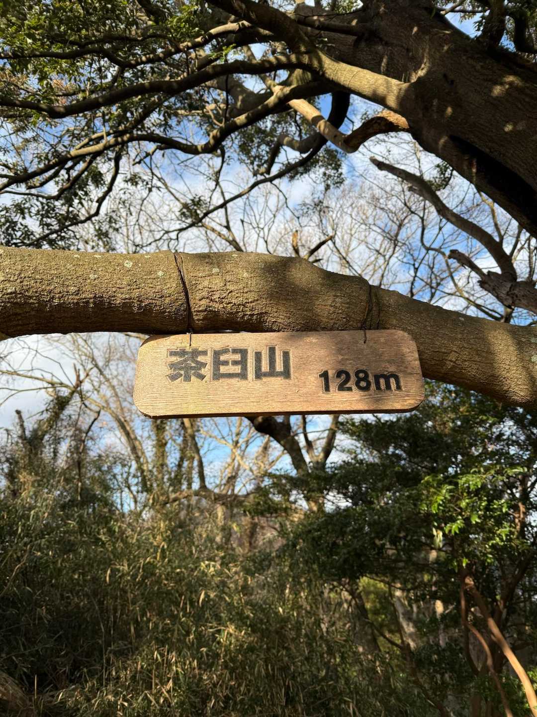 すぐ着きました