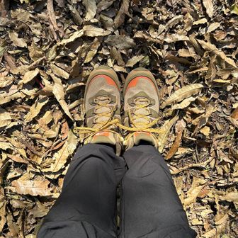 最近アウトレットで買ったおNEWの靴で🥾
色合いがとっても可愛いねえ🫶