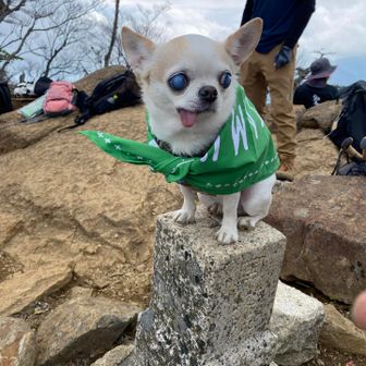 🐶💕