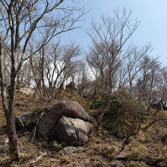 御嶽大権現の社殿が見えてきました