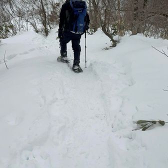 歩く所が踏み固められて、狭くて、スノーシューだと歩きにくくなってきた。