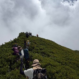 ここからプチ遭難しそうに