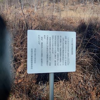 何が映りこんだ😲　戦没者慰霊の森　
遺族会が清掃と慰霊に訪れるそう