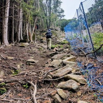 国見山に向かって登って行くよー💦