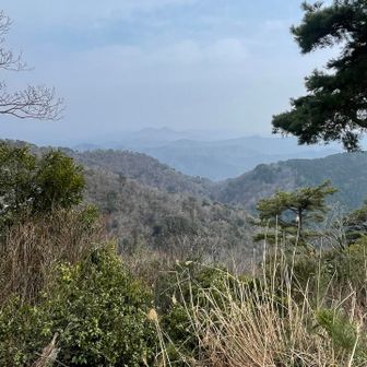 かすかに見えるのは