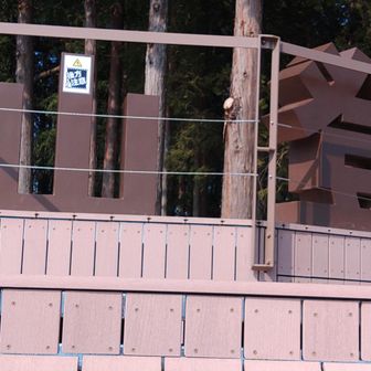 へそまがりなので裏から撮ります。