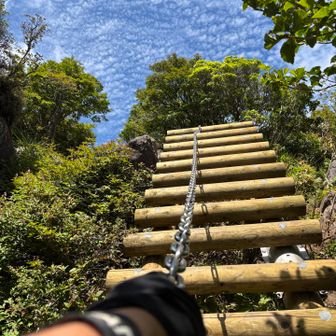 沓掛手前の梯子と鎖場
あれ？
いつの間にかに梯子と鎖が新しくなってる！