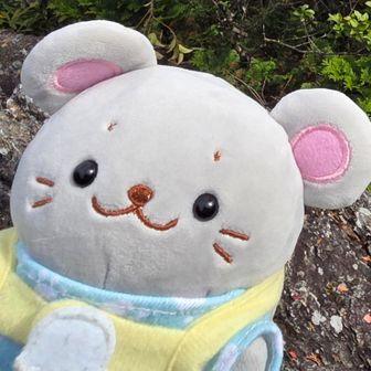 山登りちゅーちゅーたん