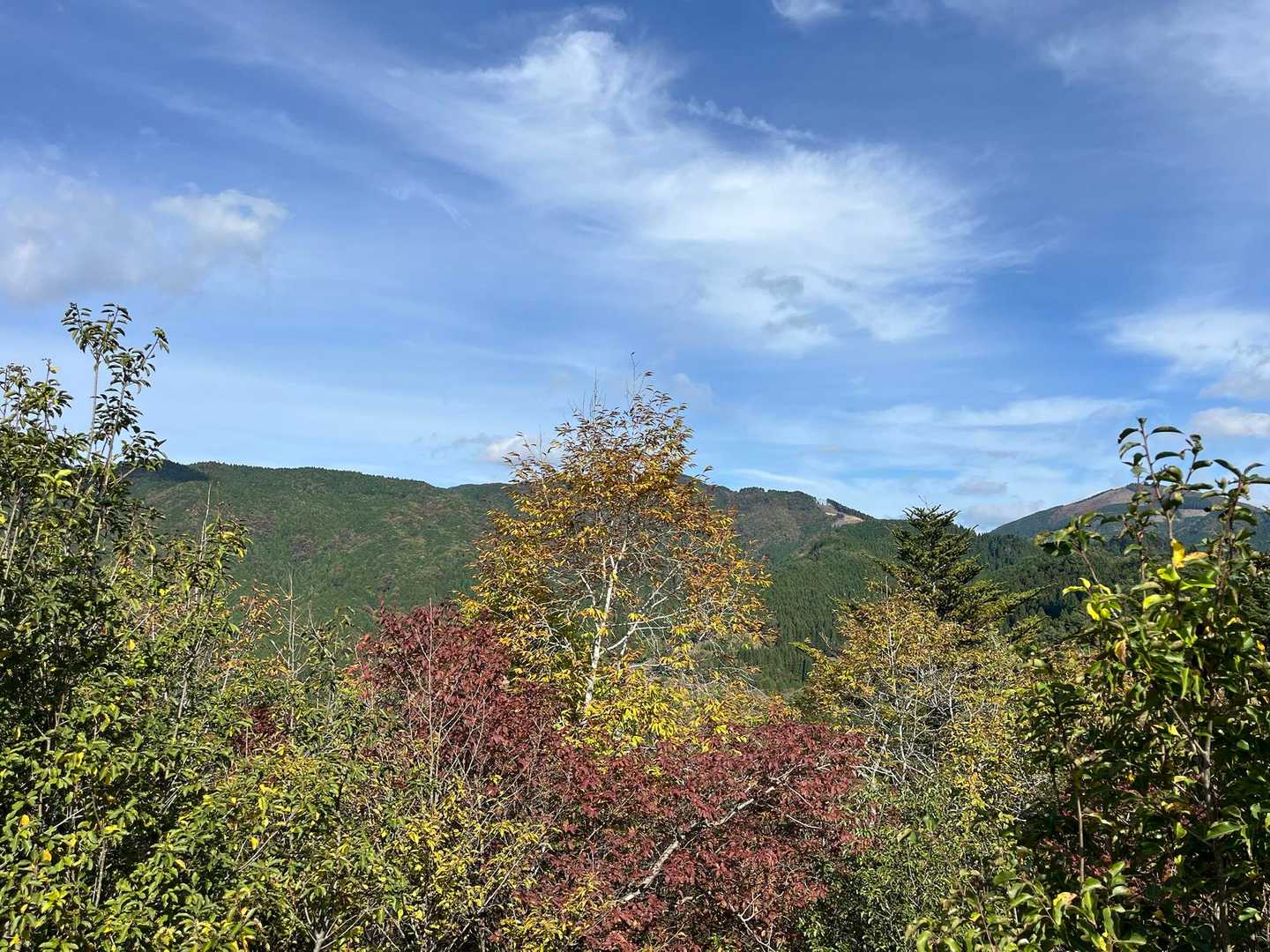 山頂からの景色②