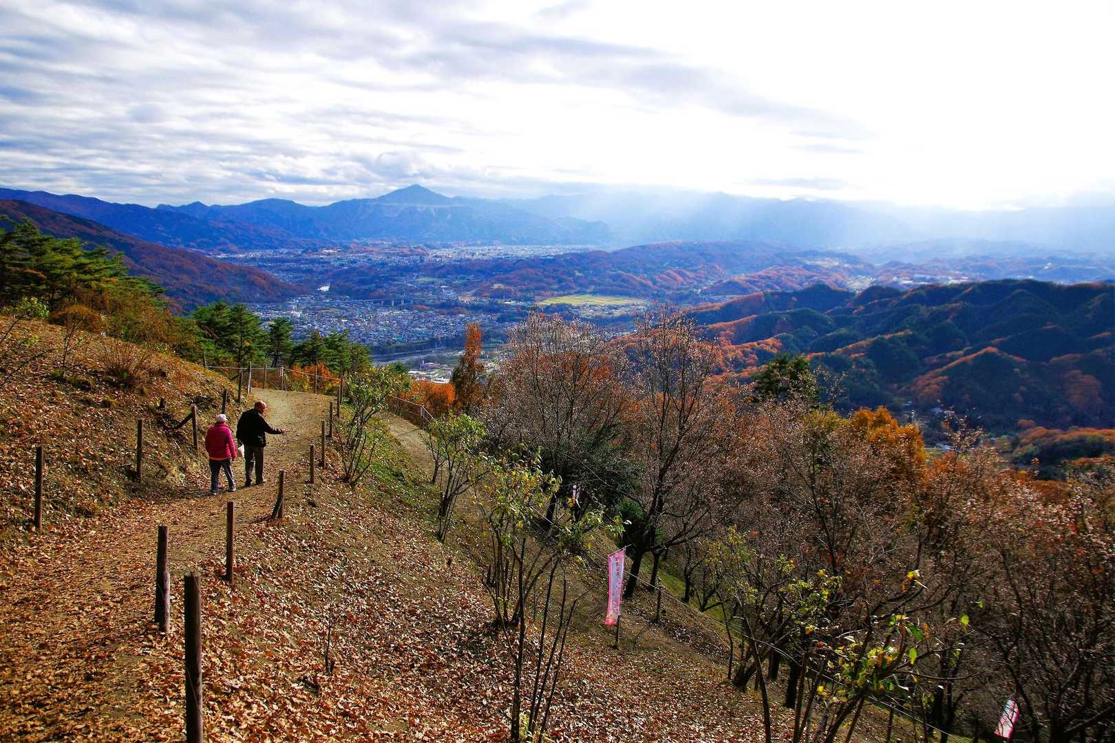 ロープウェイで気軽に楽しめる“宝の登山”の山上散策の写真