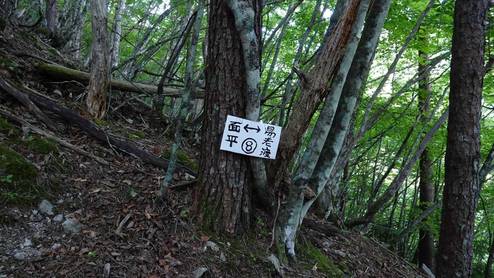 いきなり8から始まる道標
面平↔易老渡