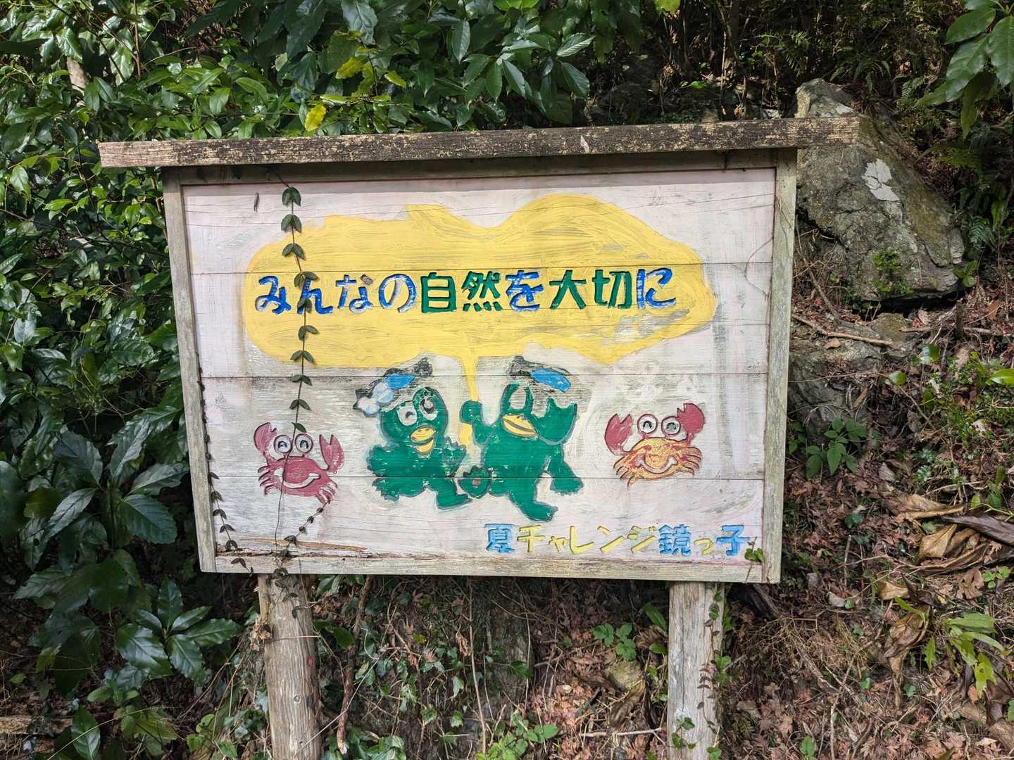 国見山 往復コースの写真