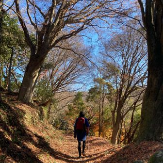 生駒山の紅葉は終わっていましたが、まだまだ綺麗ですね。

今日は emergency exitさんのリハビリ完結編 ということで、
写真はほぼほぼ emergency exit さんです😁