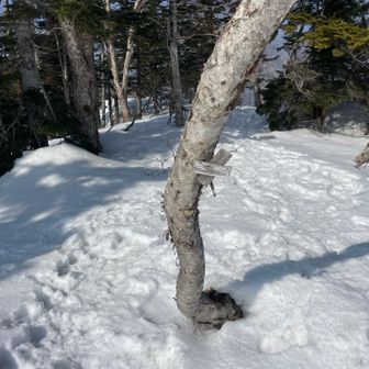 到着です。
キョロキョロ山頂表示板を探すけど、最初はこれしか見つからず。