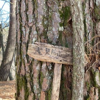 一度間違えてしまって、反対尾根の小ピークを踏んでから大見前山の山頂に到着しました。

眺望はなし、小さな山頂標識があるのみ。
