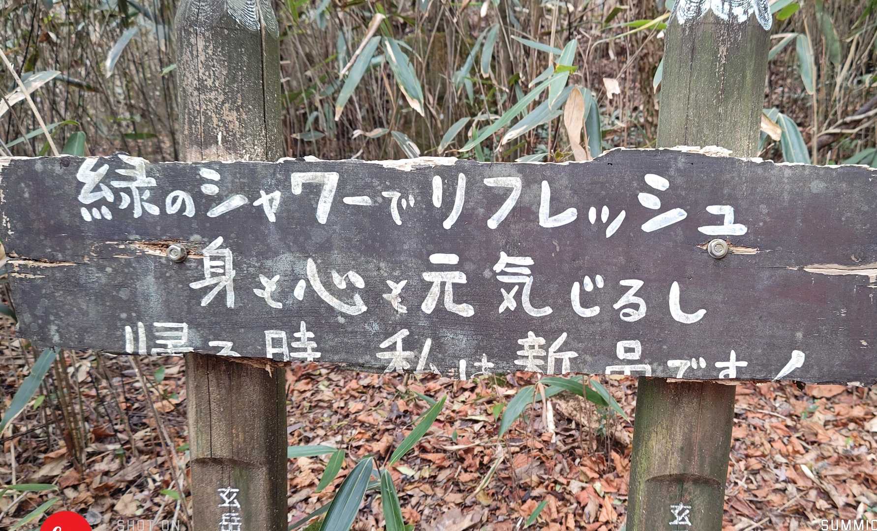 玄岳ハイクコース入口-玄岳 往復コースの写真