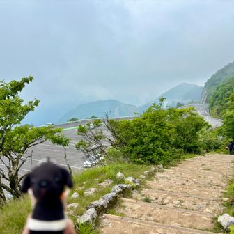 ドライブウェイがよく見えます