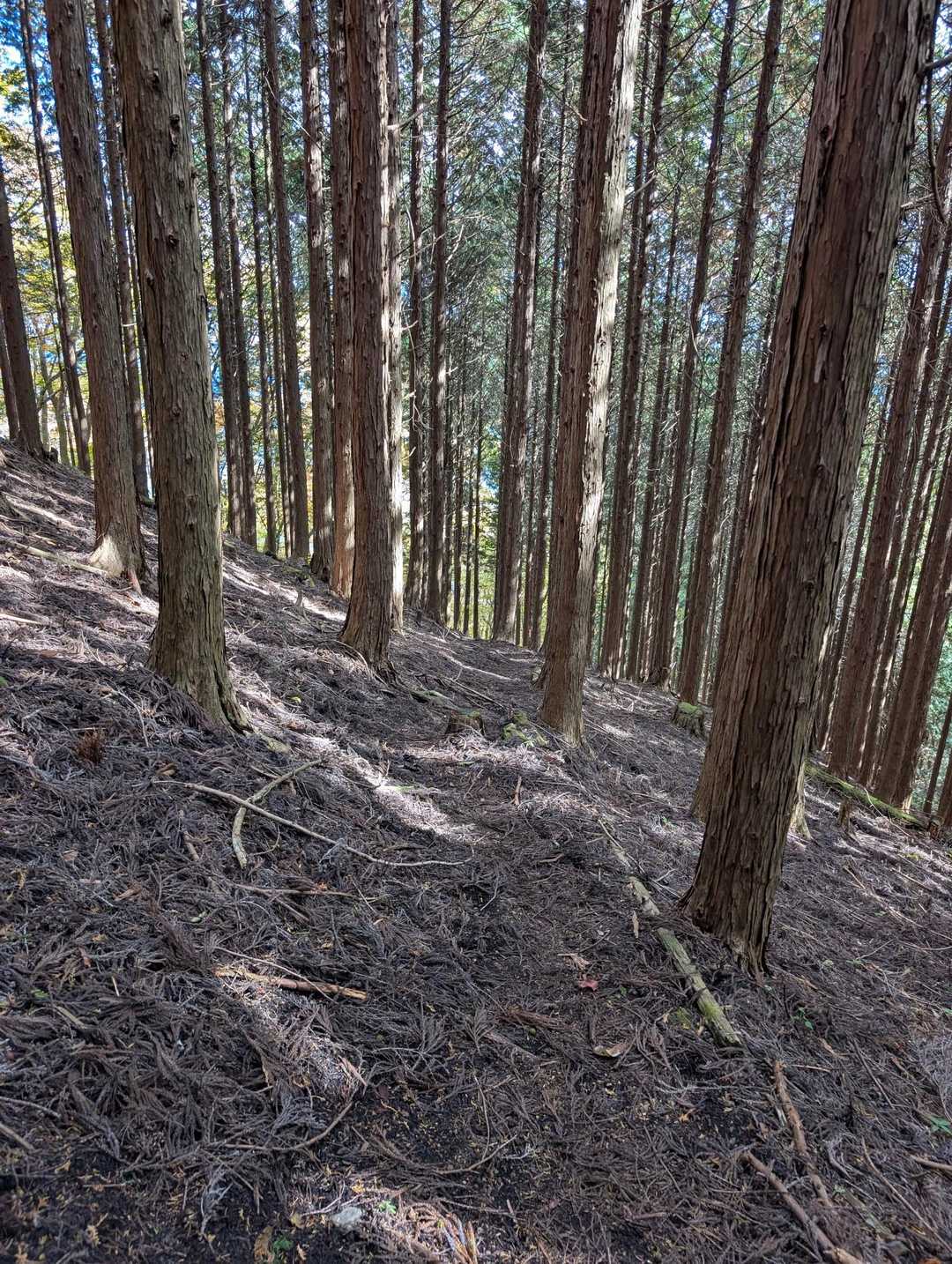 一旦下って東御荷鉾山登山口へ。