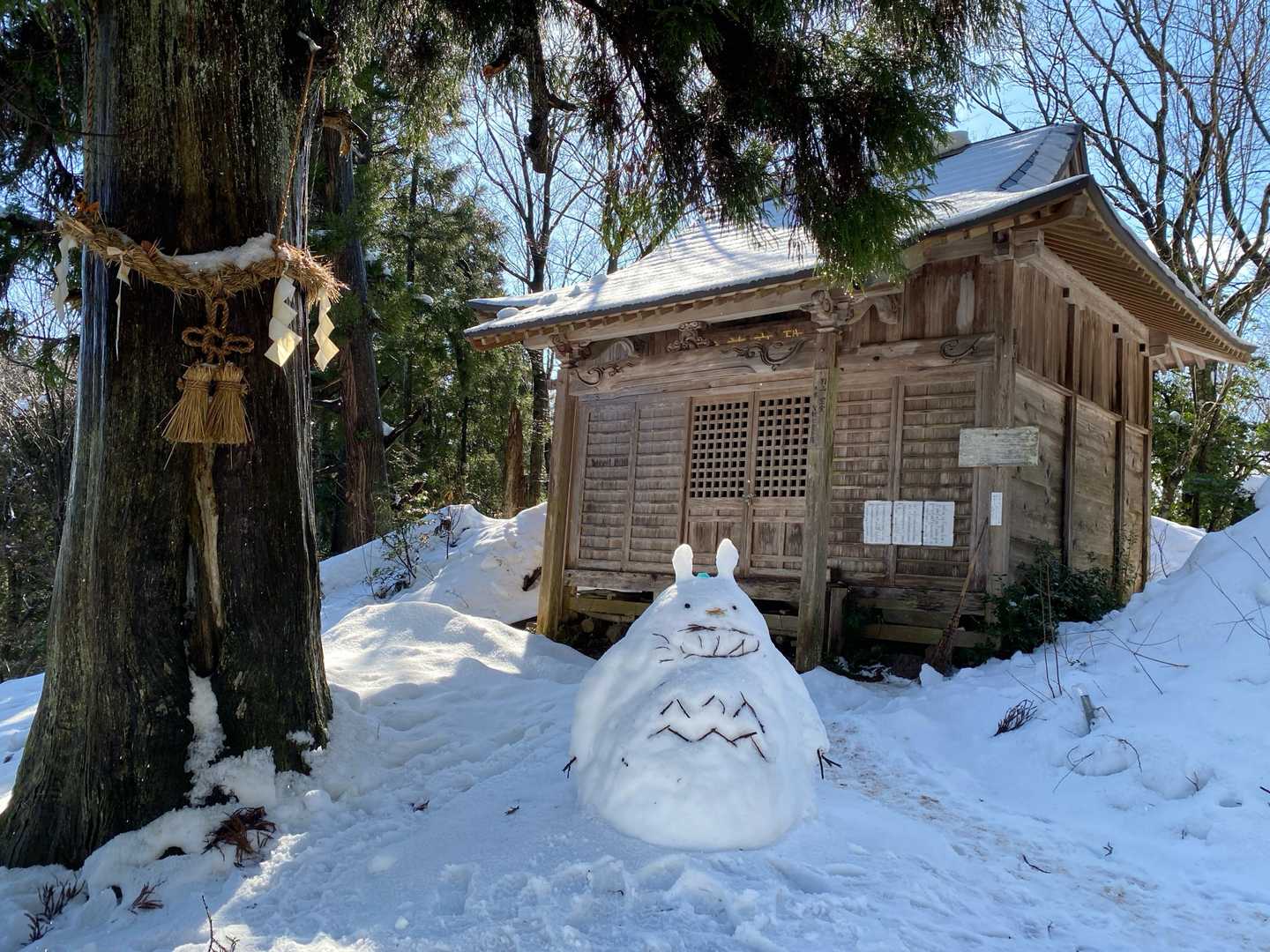 トトロ馴染んでます。