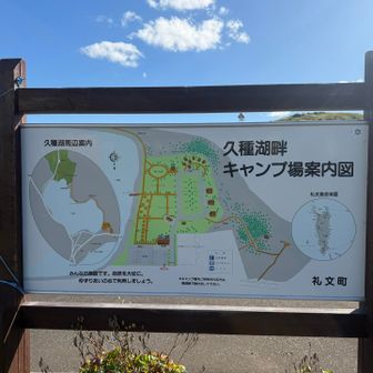 帰って来ました