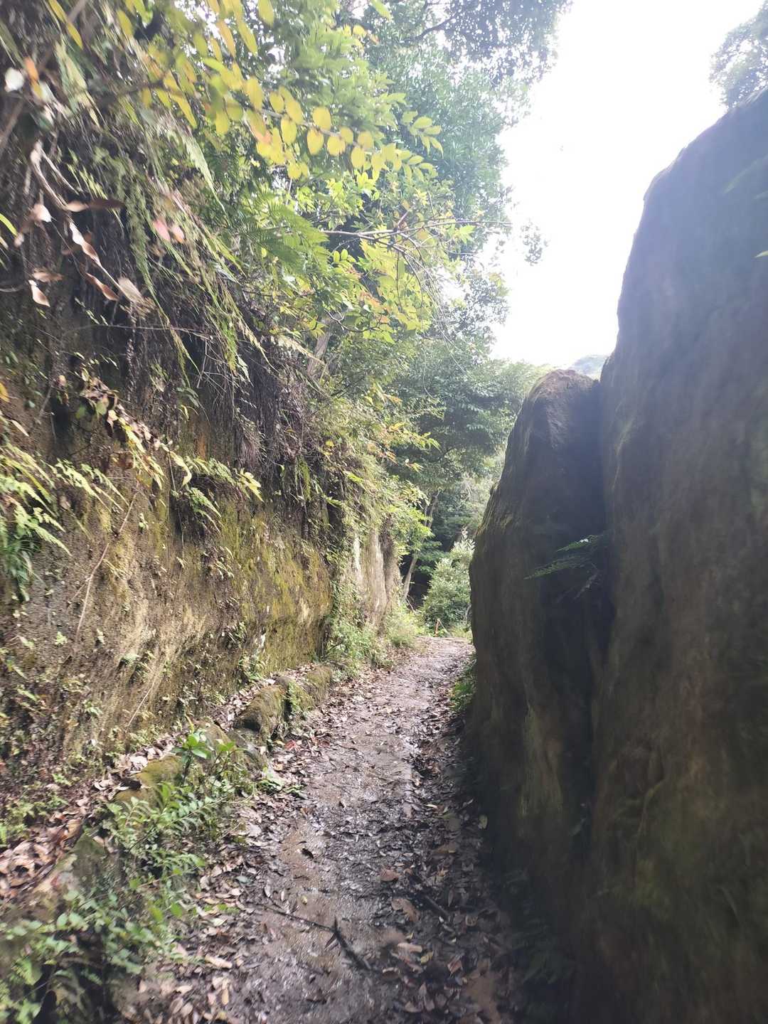 登山道入り口あたり
