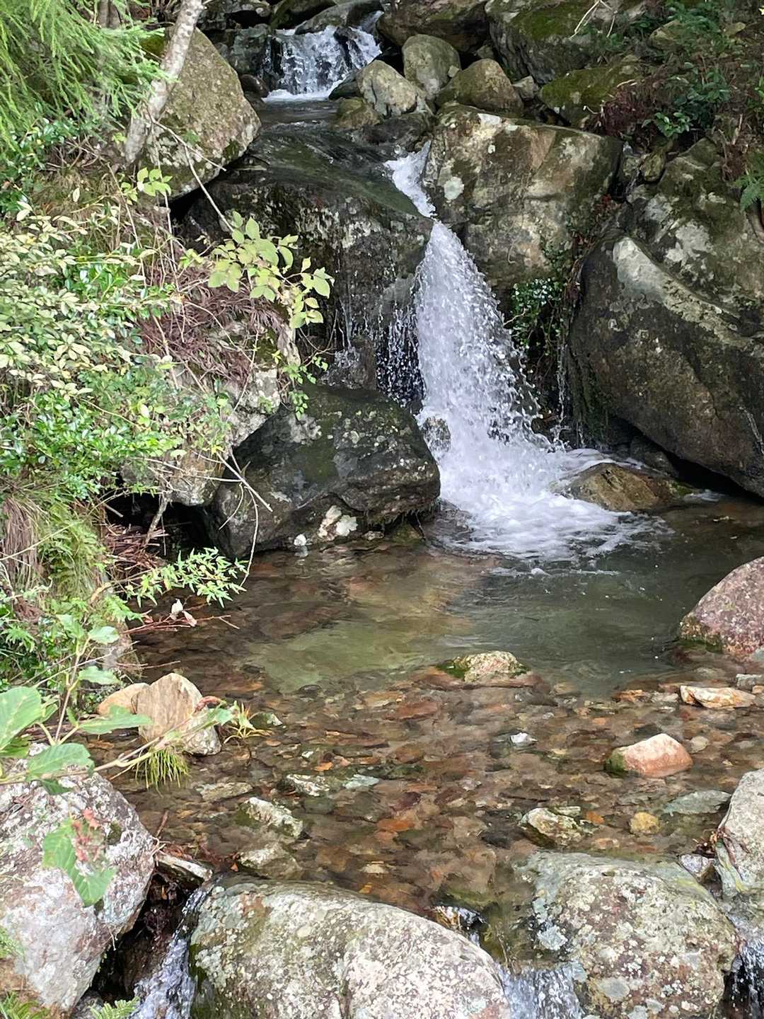 土曜日の雨で普通の沢も大迫力😀