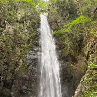 百尋ノ滝。初めて見たが、こんな山奥にあると観光客は来れないなー
って下りてたら、バス停から外国人がたくさん歩いてきてた