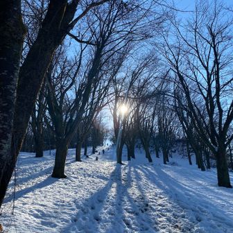 みんなとツアーの日